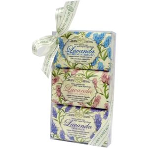 Nesti Dante Lavanda Gift Set