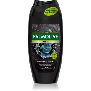 Palmolive Men Refreshing shower gel M 2-in-1 M 250 ml
