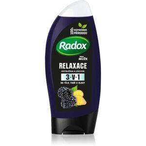 Radox Men Feel Wild shower gel for face, body and hair M Blackberry & Ginger 225 ml