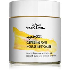 Soaphoria Care moisturising and soothing cleansing foam for sensitive skin 100 ml