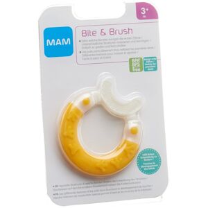 MAM Bite & Brush Beissring 3+ Monate (1 Stück)