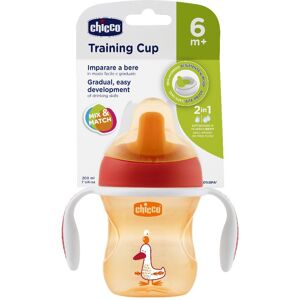 Chicco Ch Tazza Training Neutro 6m+