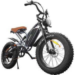 Gb Market Jansno X50 Elektrofahrrad 750 W Leistung 48 V 14 Ah Batterie 50 Km Maximale Reichweite 40 Km/h Höchstgeschwindigkeit 20 Zoll Reifen