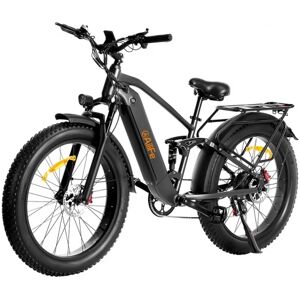 AILIFE X26B Elektrofahrrad, 26*4,0 Zoll dicke Reifen, 48V 13 Ah Akku, 1000W Motor, 48 km/h - Schwarz