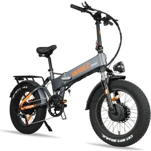 Vakole CO20 Max 750W*2 Double Moteur 20" Fat Bike VTT Électrique Pliant avec 20Ah Samsung Batterie-EU Plug - Publicité