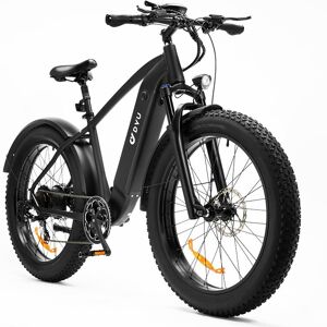 Vélo électrique connecté DYU King750, 750W, 20Ah - Publicité