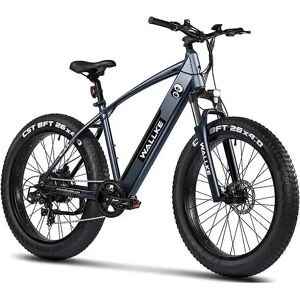 BAFANG 500W vélo électrique pour adultes 48V10.4Ah vitesse maximale 40 km/h 40 milles 26 pouces vélo électrique gros pneu montagne EBike - Publicité