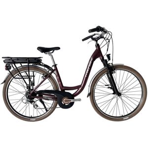 Vélo de ville Wolfbike Radaway R28 Marron - Publicité