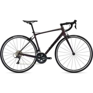 Giant CONTEND 1 - Shimano Sora Vélo Route - 2023 - rosewood - Publicité