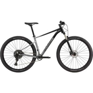 Cannondale Vélo tout Terrain 29" - TRAIL SL 4 - 2023 - grey - Publicité