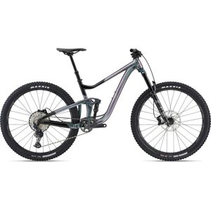 VTT 29" - Trance X 1 - 2024 - Echeveria/Black