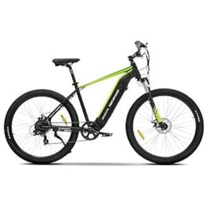 ARGENTO PERFORMANCE BICICLETTA ELETTRICA 250W RUOTE DA 2.35