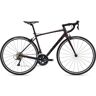 Giant Contend 1 - Shimano Sora Road Bike - 2023 - Rosewood