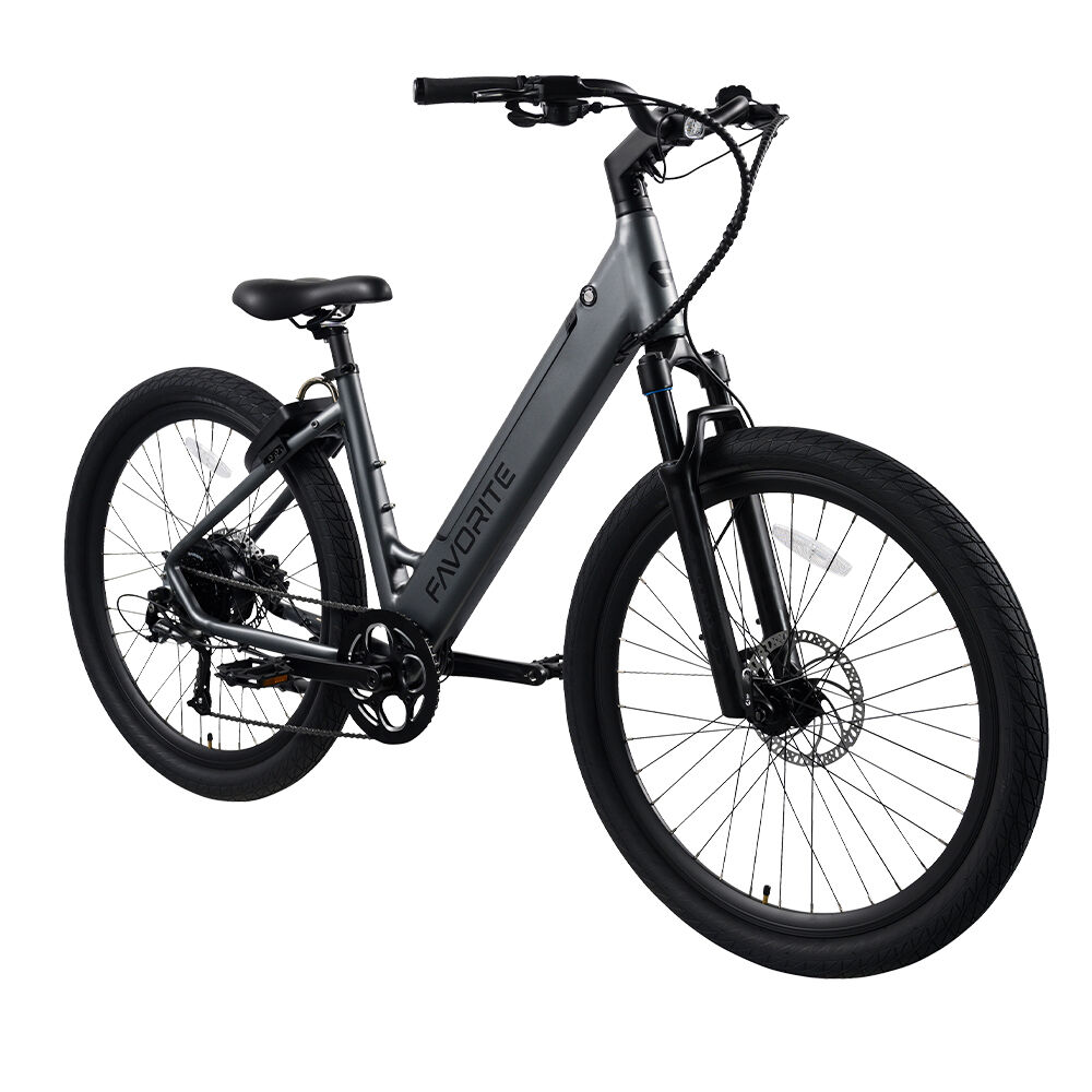 Favorite Hybrid Pro ST E-Bike in Black