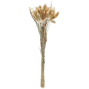 . Trockenblumenbundle Ajda; 40 cm (L); natur