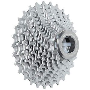 Campagnolo S.R.L.  S.R.L. Zahnkranz-Kassette CS10-CH129, Silber, (Herstellergröße : 12 29)