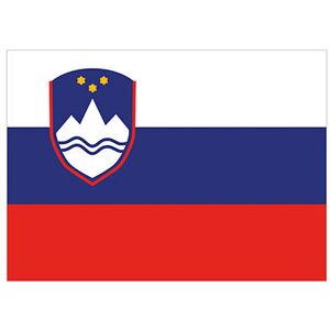 Printwear Flagsi Flag Slovenia Slovenia 90 X 150 Cm