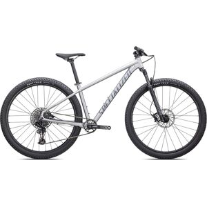 Specialized Rockhopper Expert (Satin Silver Dust/Black Holographic Foil, S)