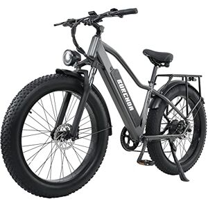 Kinsella Vélo électrique avec Batterie au Lithium 48 V 18 Ah Batterie Amovible de Grande capacité, Suspension complète, Double Freins à Disque hydrauliques, 26" x 4" BURCHDA- RX20 - Publicité