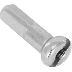 Écrou de rayon Mach1 2x14 mm argent (a l'unite)