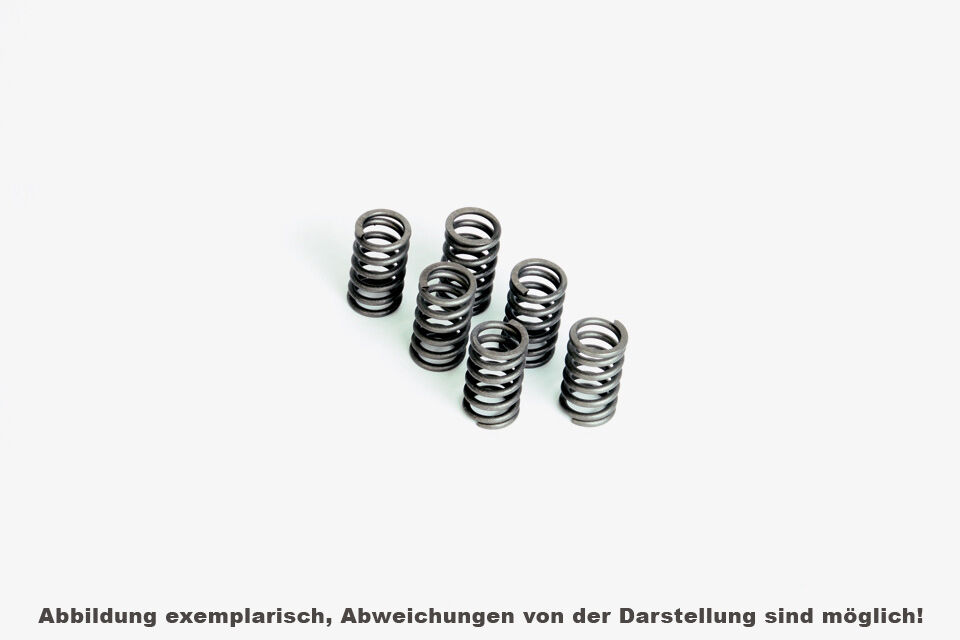 Ferodo Clutch Spring Set Fss0304