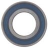 Cycling Ceramic Ceramic Bearing Blu,Argento