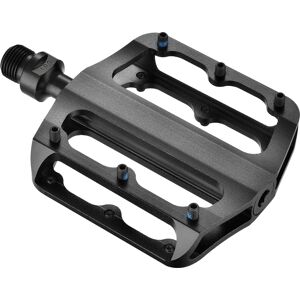 Anatomy Pedal Flat Alloy Sort 1