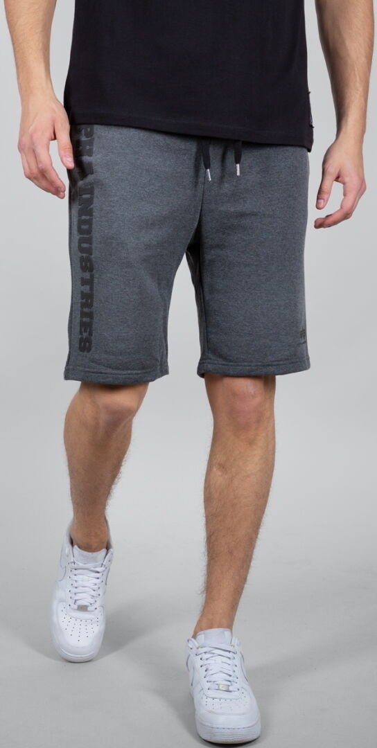 Alpha Industries Big Letters Shorts S Grå