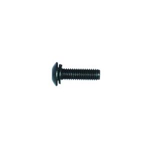 Spyder Trigger Frame Screw SCR001