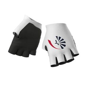 Alé GROUPAMA - FDJ 2024 Cycling Gloves, for men, size L, Cycling gloves, Bike gear