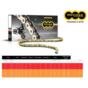 Regina Chain Catena Regina 126rx3 Passo 428 Suzuki Valenti Rme 50 09+