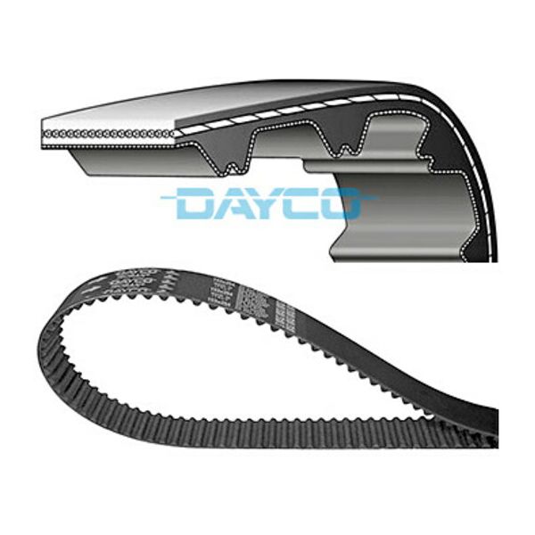 dayco cinghia dentata standard