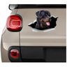 ADOVZ Car Sticker 22cm(8.6inches) Rottweiler Car Sticker Rottweiler Stickers Dog Stickers Rottweiler Car Decal Rottweiler Auto Decor Rottweiler Car Art Dogs(Hg1Fs13830)（2Pcs）