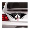 ROPEME Car Stickers And Decals 20Cm(7.87In) Border Collie Sticker, Car Decal, Vinyl Decal, Pet Sticker, Dog Decal, Border Collie Car Decal(Glh1D23400)