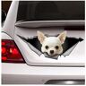 CRAFTIOS Car Stickers And Decals 25Cm(9.8In) White Chihuahua Sticker, Chihuahua Car Decal,Pet Decal, Dog Sticker