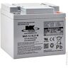 MK Powered Accu AGM M45-12SLD-M 12V 45Ah M6-F