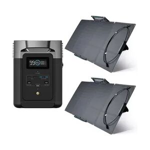 EcoFlow DELTA 2 + 2x 110W Solarpanel