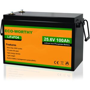 Eco-worthy - 24V 100Ah Lithium Batterie LiFePO4 Akku mit mehr als 3000+ tiefen Zyklen und BMS-Schutz für Solaranlagen, Wohnmobile, Boote, Häuser,