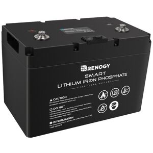 Renogy 12V Solarbatterie LiFePo4 Lithium Batterie 10 Jahre Lebensdauer