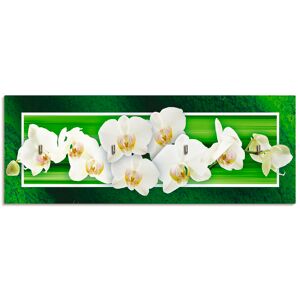 Artland Hakenleiste »Orchideen«, MDF grün Größe