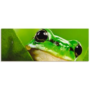 Artland Hakenleiste »Ausspähender Frosch«, MDF grün Größe
