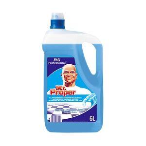 Mr. Proper Allesreiniger Ocean - 5 l Flasche