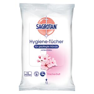 Reckitt Benckiser Deutschland GmbH SAGROTAN Hygiene-Reinigungstücher, Antibakterielle Feuchttücher für die hygienische Handreinigung, 1 Packung = 12 Stück