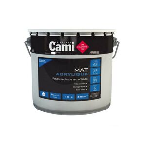 - mat acrylique blanc 10L - blanc