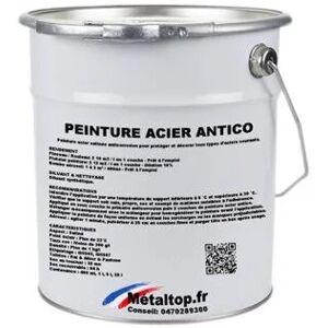 Metaltop - Peinture Acier Antico - Pot 5 l - 1001 - Beige Beige - Publicité