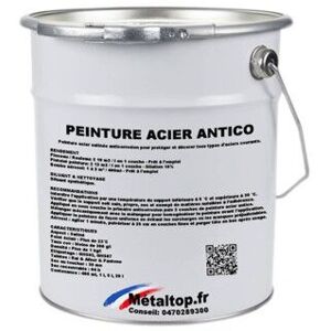 Metaltop - Peinture Acier Antico - Pot 5 l - 9018 - Blanc papyrus Blanc papyrus - Publicité