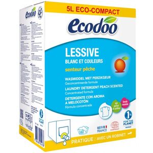 Ecodoo LESSIVE PECHE 5L BIB - Publicité