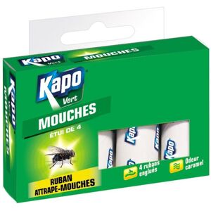 Boîte de 4 rubans attrape-mouches Kapo vert - Publicité