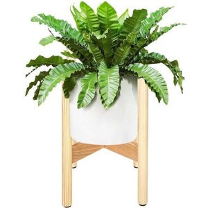 Support pour plantes en bois SPRINGOS® - Skandistyle - 19 x 19 x 35 cm - Verni - Naturel - Publicité