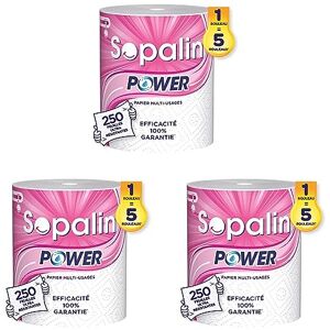 SOPALIN Power Essuie-tout Multi-usages – x1 Rouleau Power : 5 Rouleaux Classiques 250 feuilles – Ultra Résistant Emballage 80% Plastique Recyclé Papier Certifié FSCTM Mixte (Lot de 3) - Publicité